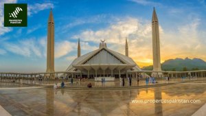 Read more about the article Combating Pollen Allergies: Islamabad’s New Initiative for a Healthier Future