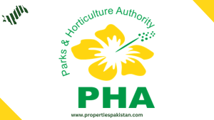 Read more about the article Punjab’s Largest Flower Nursery Blossoms in Rawalpindi